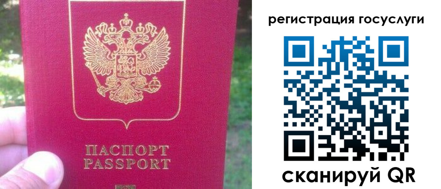 временная прописка в Порхове